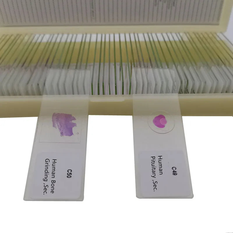 Human histology prepared slides examples