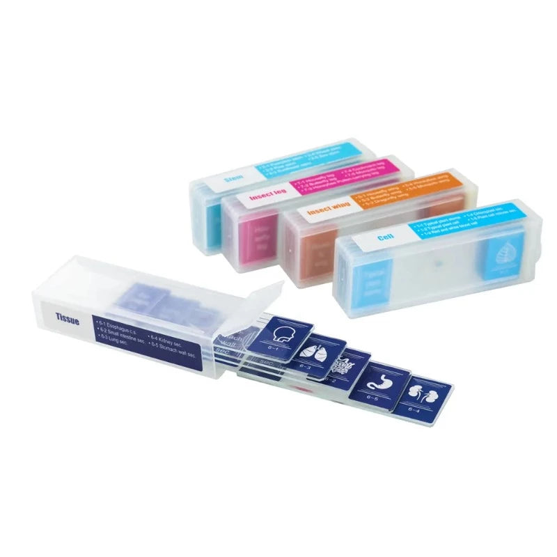 Prepared Microscope Specimen Slides individual slide set boxes