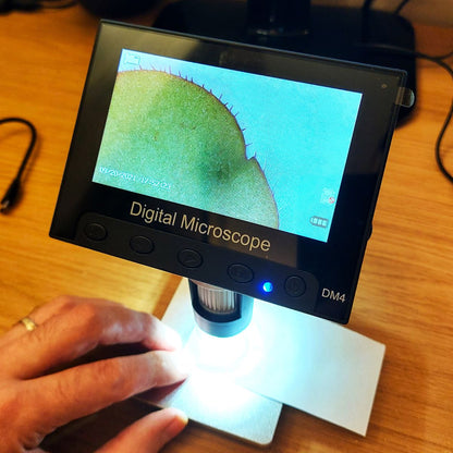 Digital microscope with hand for size comparison