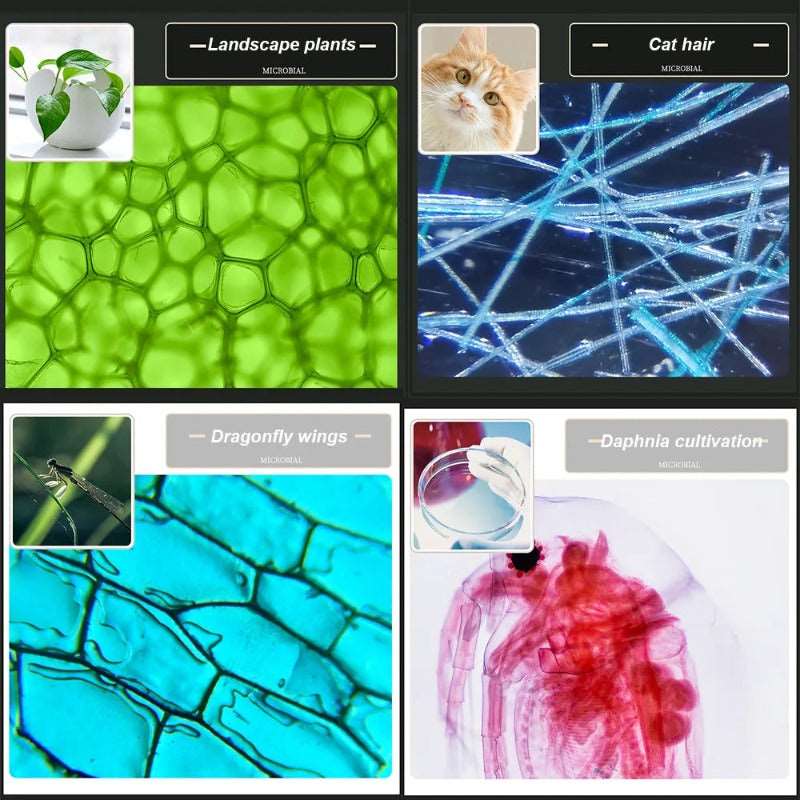 Children's Microscope – The Science Hut