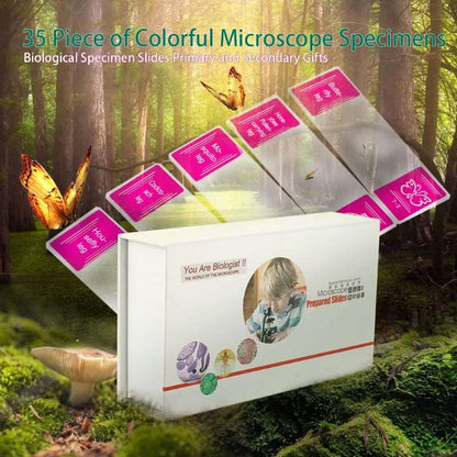 Prepared Microscope Specimen Slides Box Set