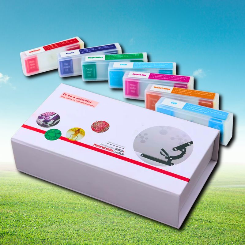 Prepared Microscope Slides Main image