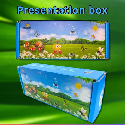 Spiders and Insects in epoxy resin presentation box